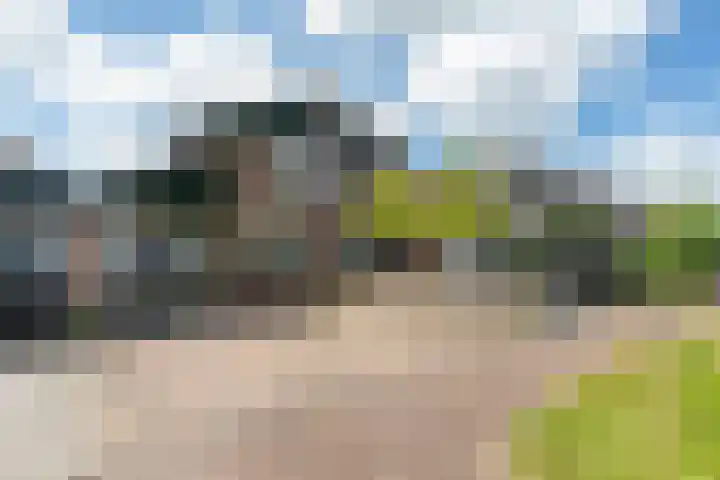 Moerasvaren 118 Purmerend thumbnail 7