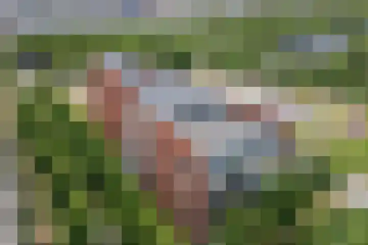 Moerasvaren 145 Vleuten