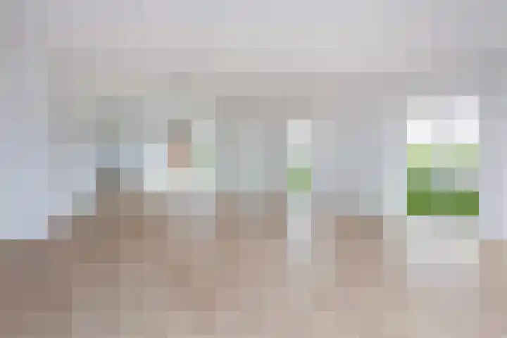 Moerasvaren 145 Vleuten thumbnail 20