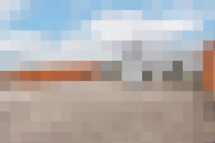 Moerasvaren 145 Vleuten thumbnail 23