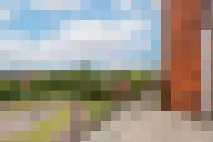 Moerasvaren 145 Vleuten thumbnail 25