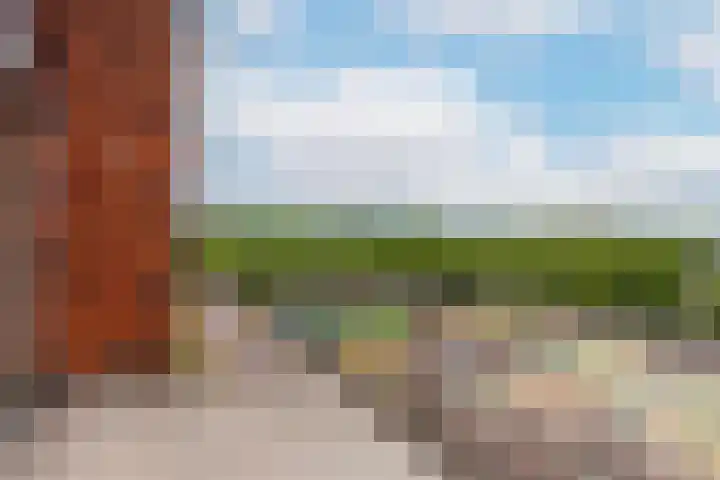 Moerasvaren 145 Vleuten thumbnail 26