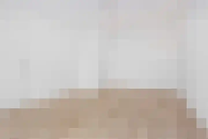Moerasvaren 145 Vleuten thumbnail 35