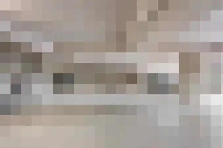 Moerasvaren 145 Vleuten thumbnail 39