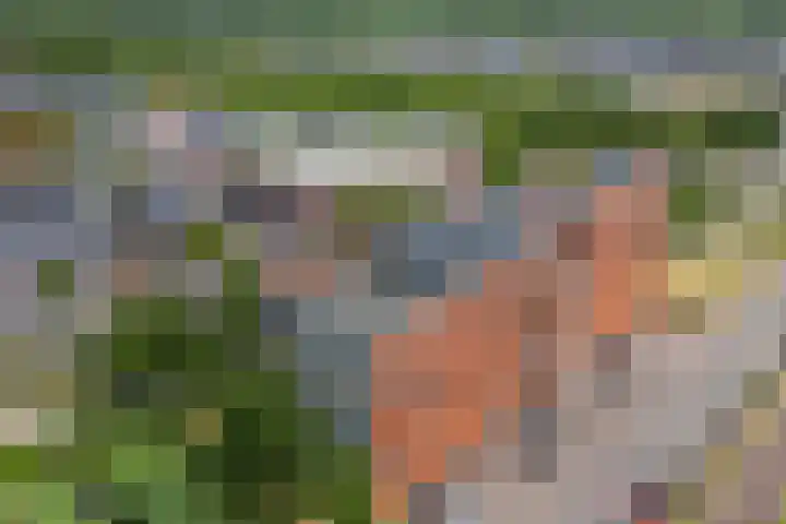 Moerasvaren 145 Vleuten thumbnail 42
