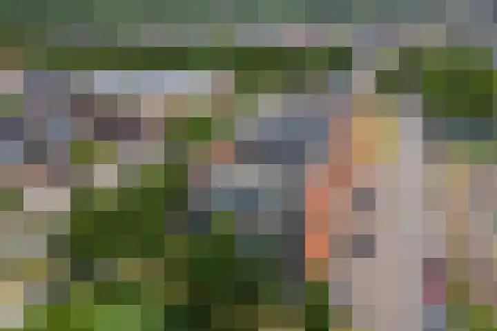 Moerasvaren 145 Vleuten thumbnail 43