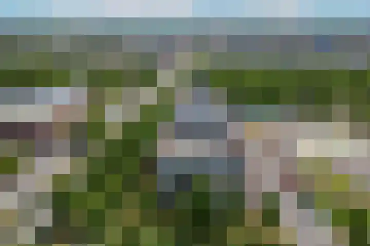 Moerasvaren 145 Vleuten thumbnail 44