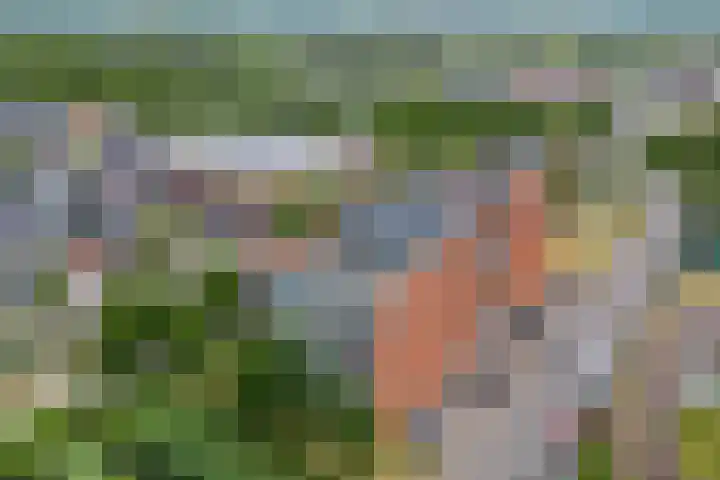 Moerasvaren 145 Vleuten thumbnail 45