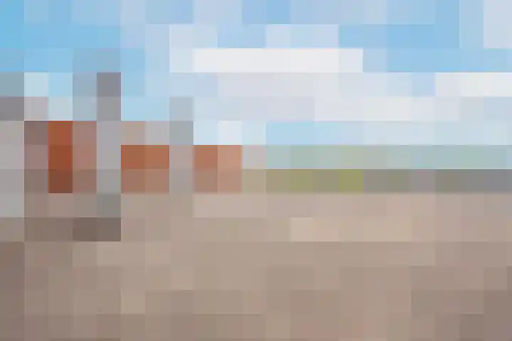 Moerasvaren 145 Vleuten thumbnail 5
