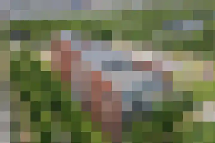 Moerasvaren 145 Vleuten thumbnail 50