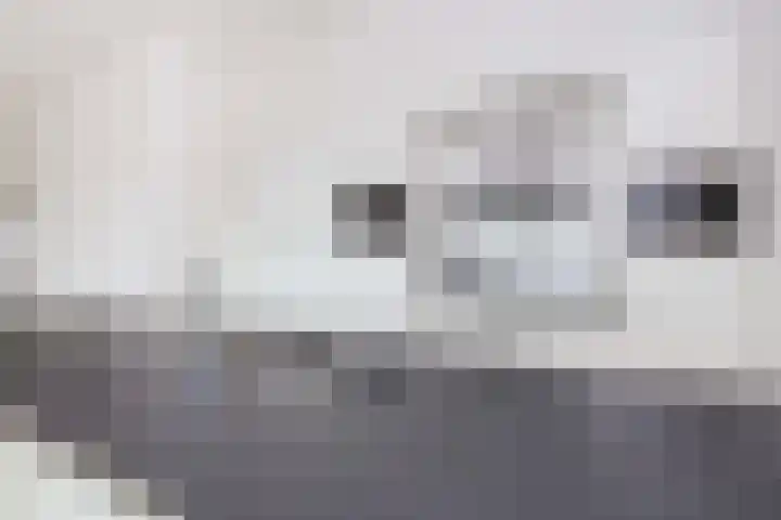 Moerasvaren 145 Vleuten thumbnail 9