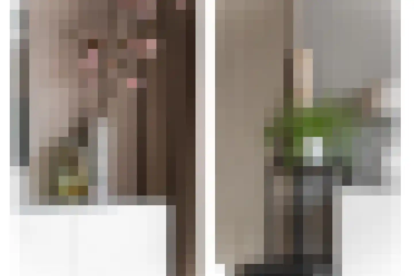 Moerasvaren 2 Hendrik-Ido-Ambacht thumbnail 10