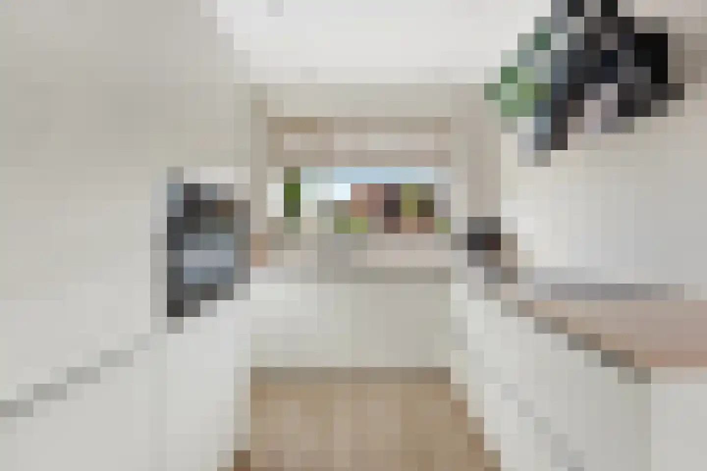 Moerasvaren 2 Hendrik-Ido-Ambacht thumbnail 12