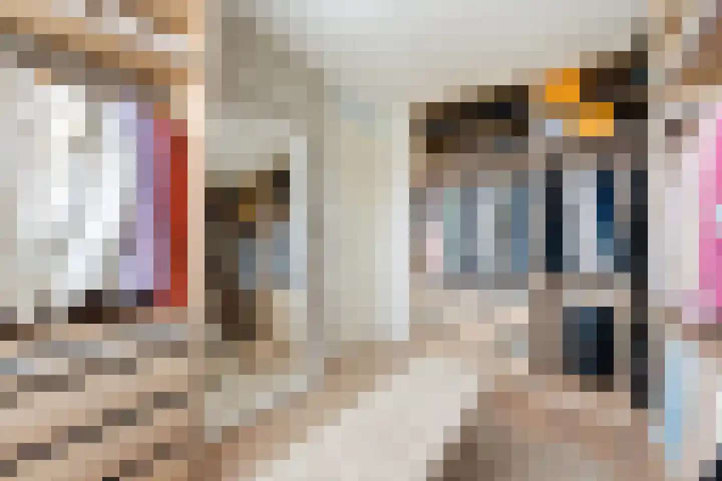 Moerasvaren 2 Hendrik-Ido-Ambacht thumbnail 18