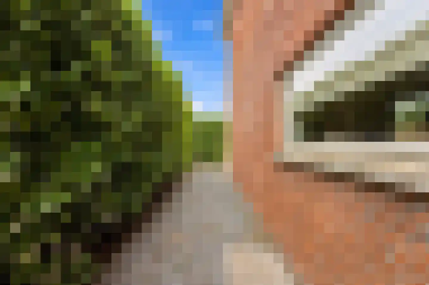 Moerasvaren 2 Hendrik-Ido-Ambacht thumbnail 31