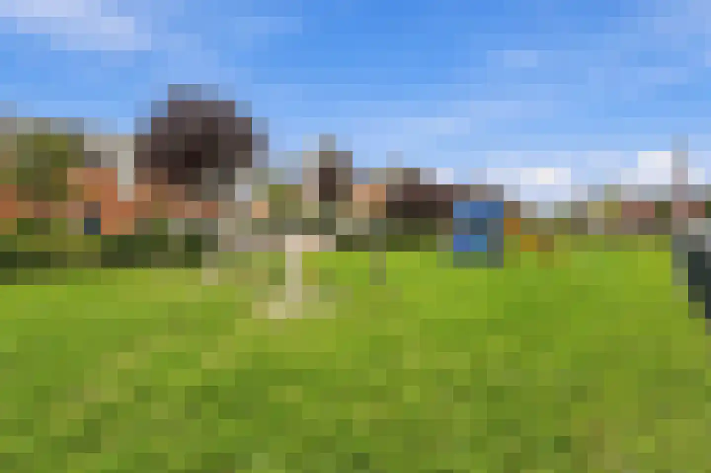 Moerasvaren 2 Hendrik-Ido-Ambacht thumbnail 32