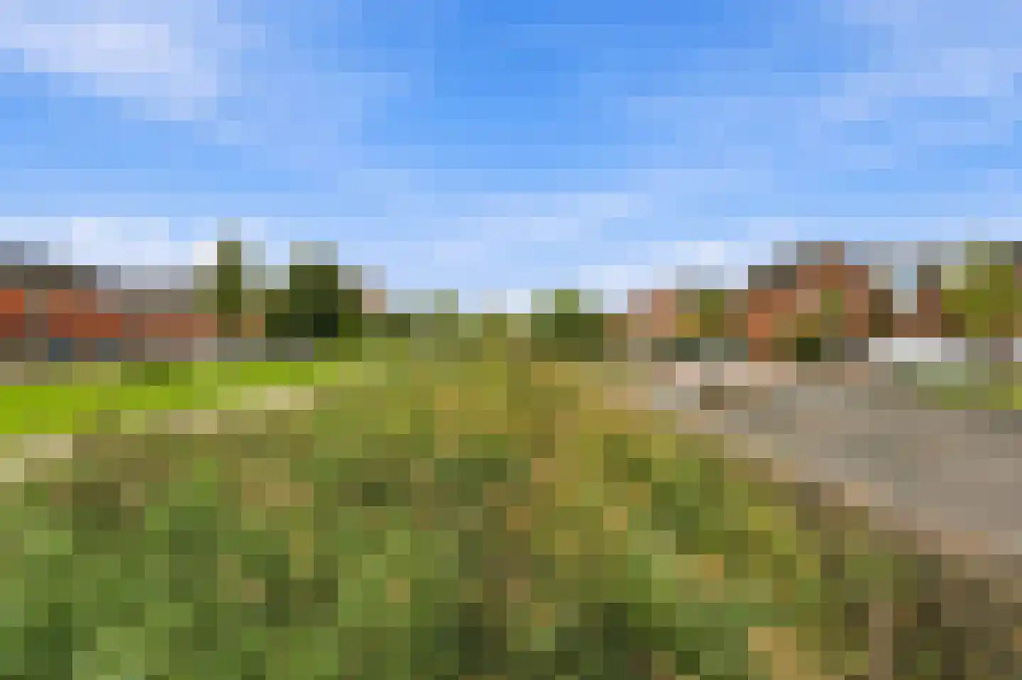 Moerasvaren 2 Hendrik-Ido-Ambacht thumbnail 33
