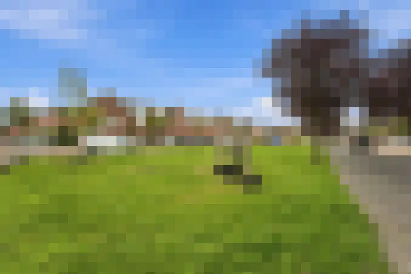 Moerasvaren 2 Hendrik-Ido-Ambacht thumbnail 34