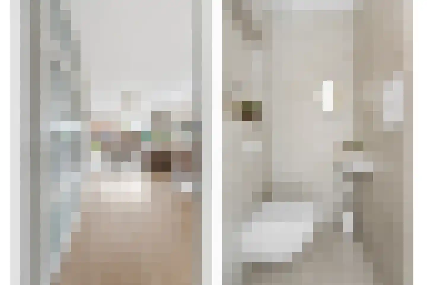 Moerasvaren 2 Hendrik-Ido-Ambacht thumbnail 4