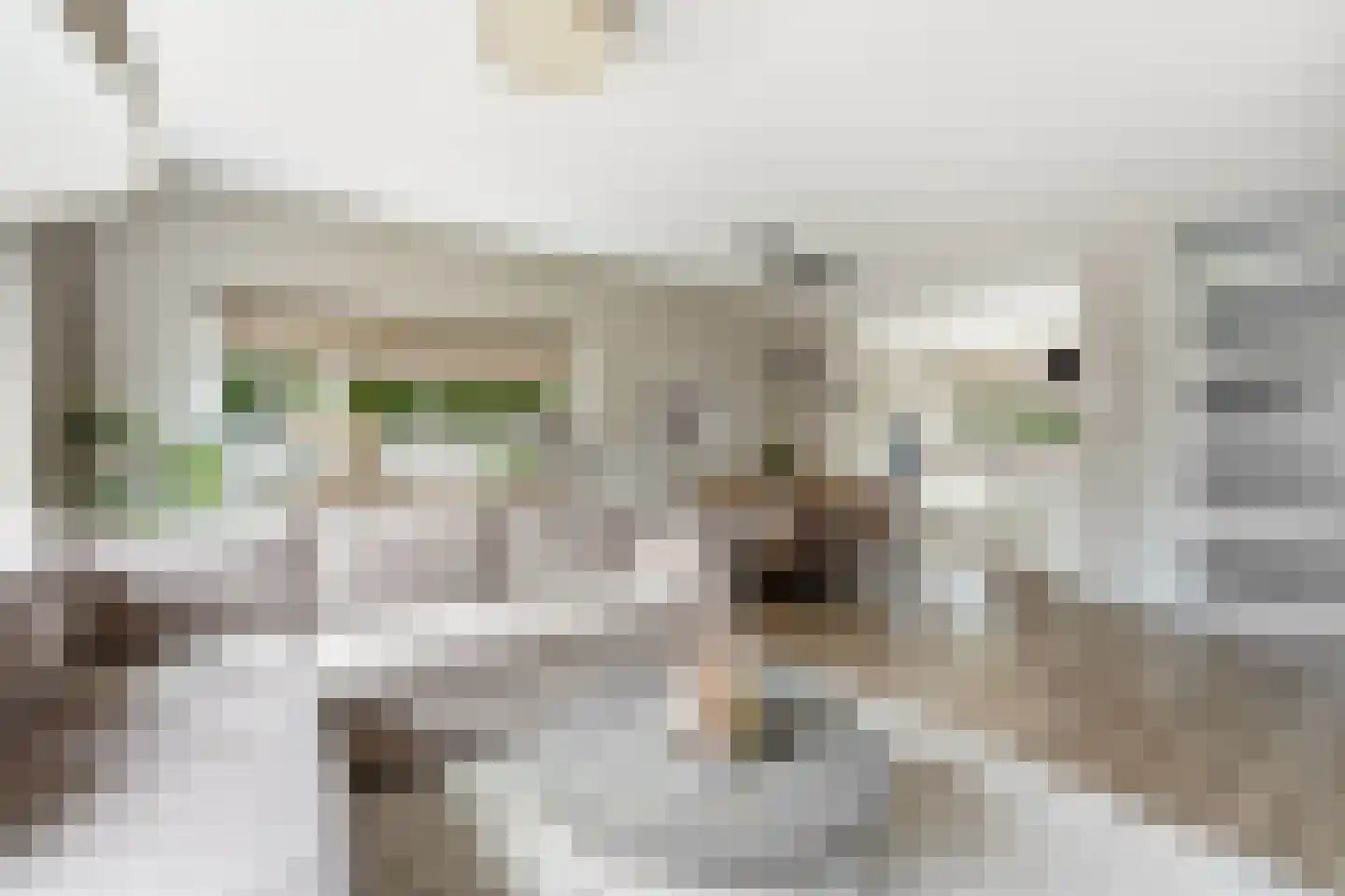 Moerasvaren 2 Hendrik-Ido-Ambacht thumbnail 5