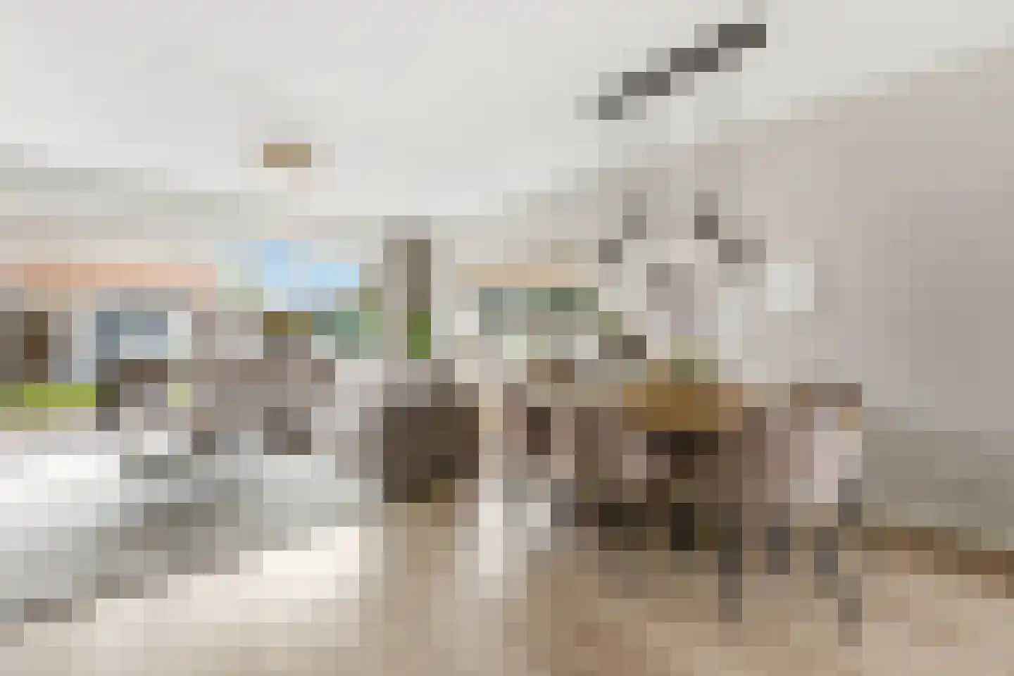 Moerasvaren 2 Hendrik-Ido-Ambacht thumbnail 6