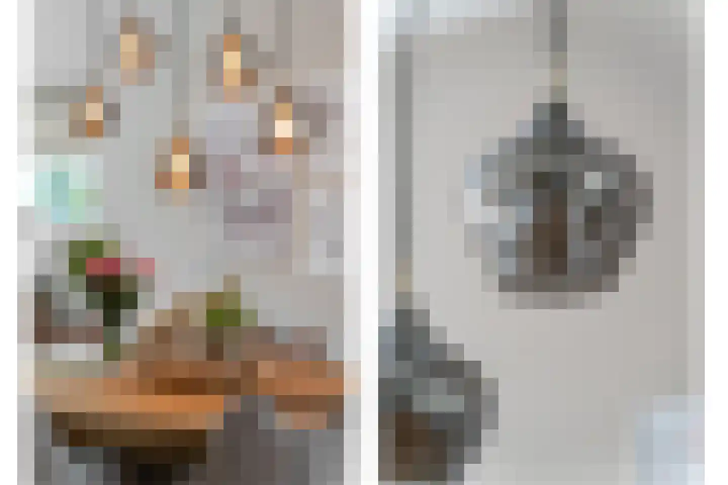 Moerasvaren 2 Hendrik-Ido-Ambacht thumbnail 7