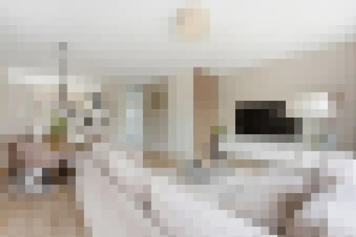 Moerasvaren 2 Hendrik-Ido-Ambacht thumbnail 8