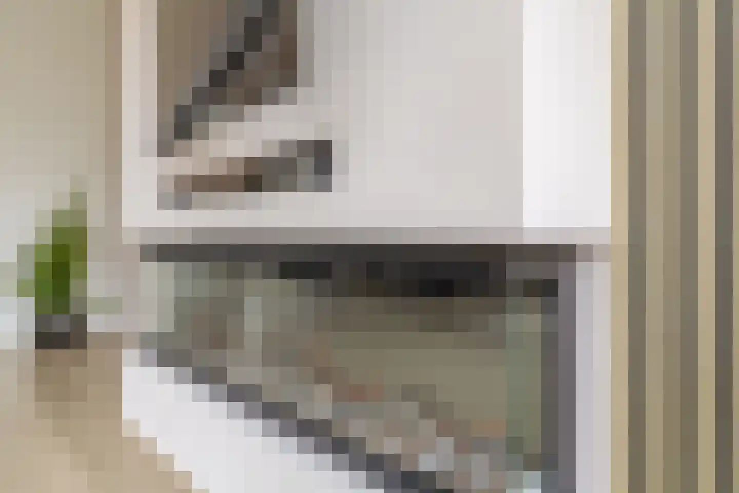 Moerasvaren 28 Hendrik-Ido-Ambacht thumbnail 13