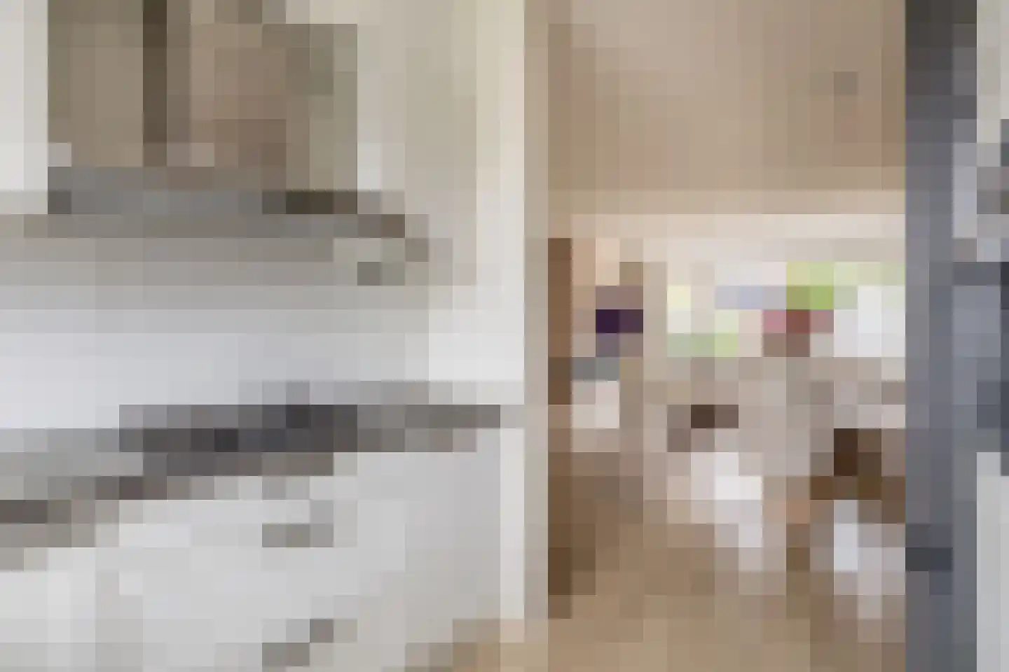 Moerasvaren 28 Hendrik-Ido-Ambacht thumbnail 17