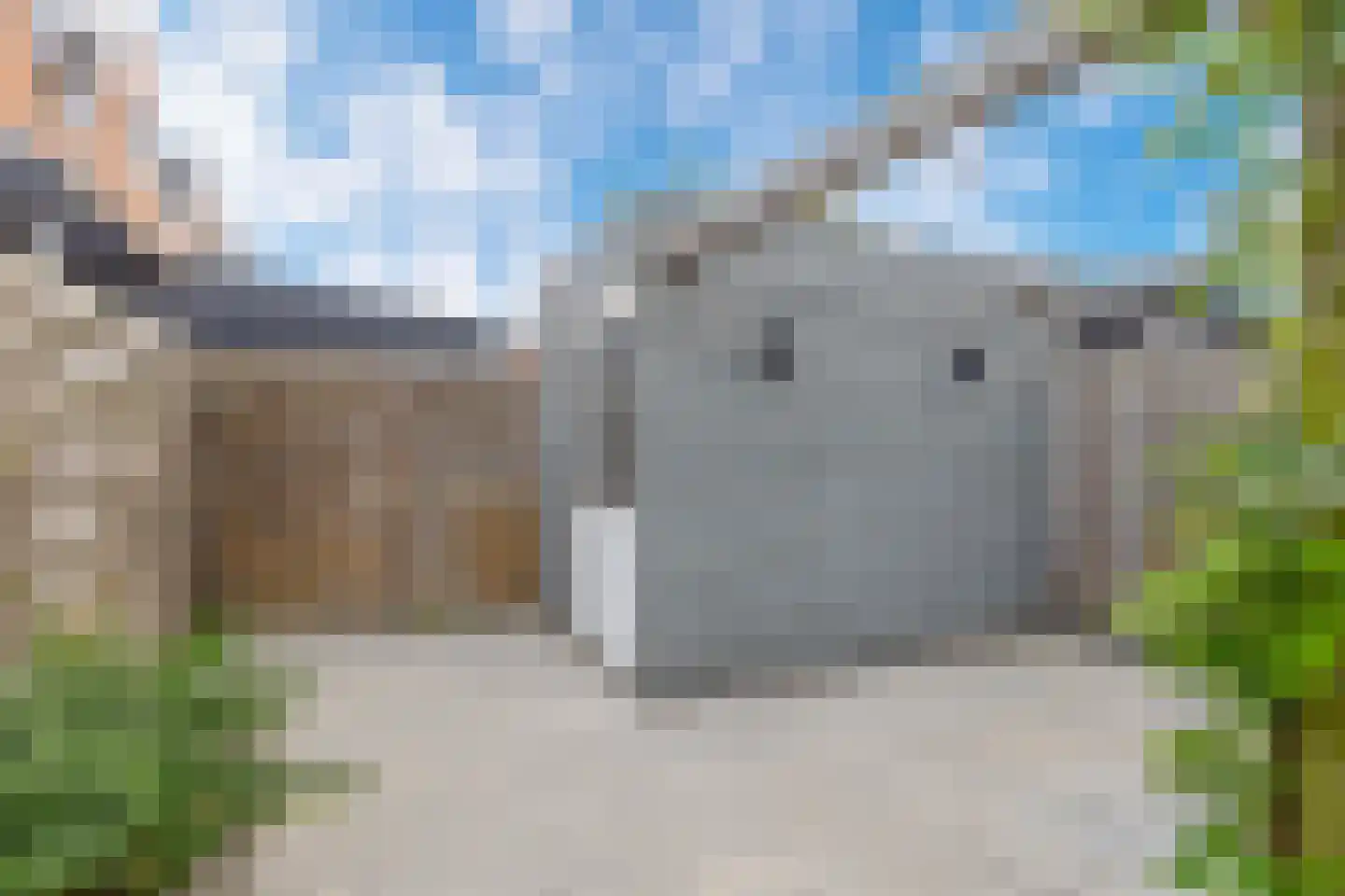 Moerasvaren 28 Hendrik-Ido-Ambacht thumbnail 19