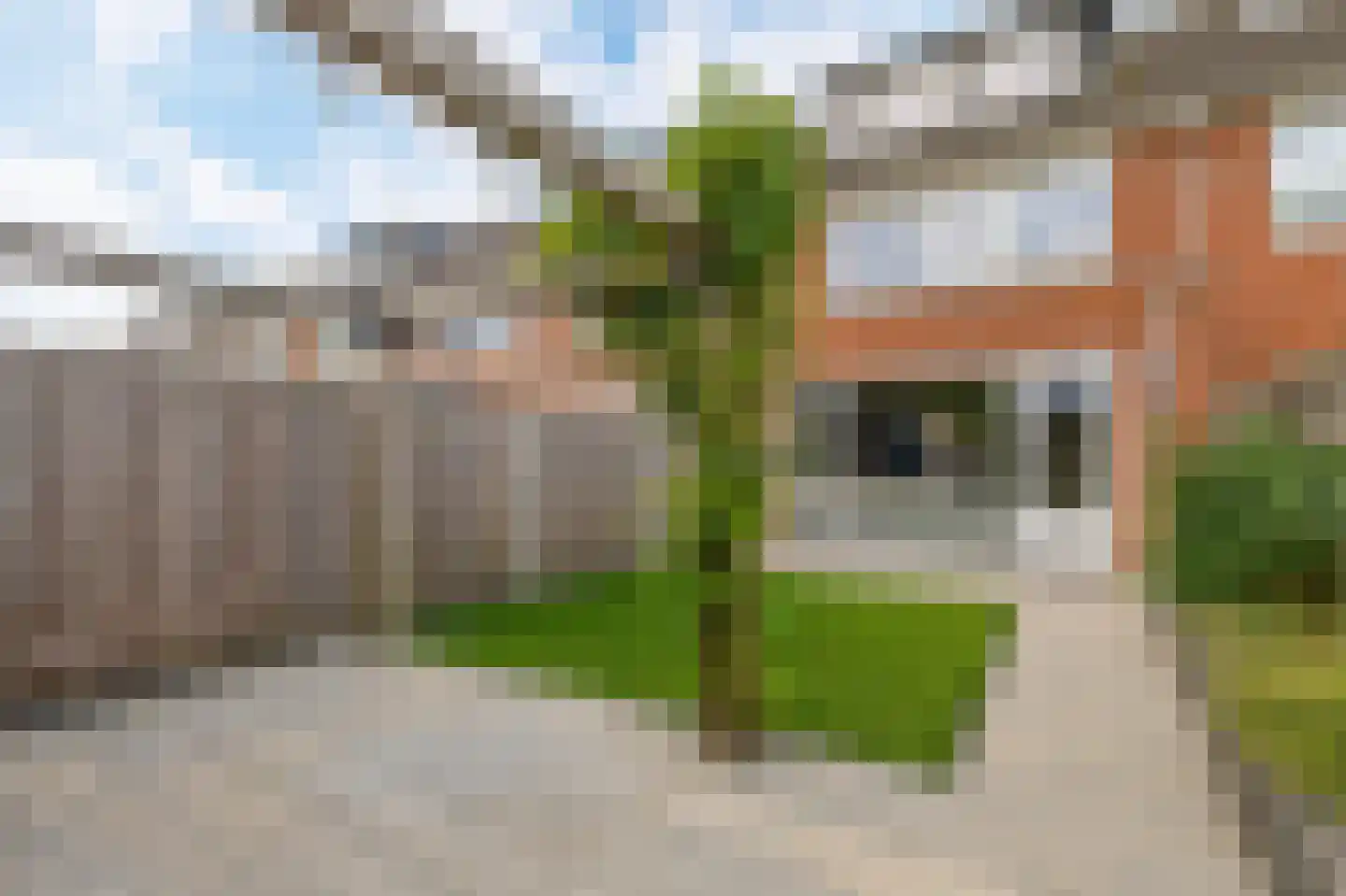 Moerasvaren 28 Hendrik-Ido-Ambacht thumbnail 21