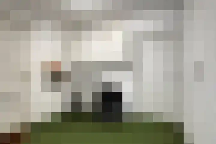 Moerasvaren 30 Purmerend thumbnail 19