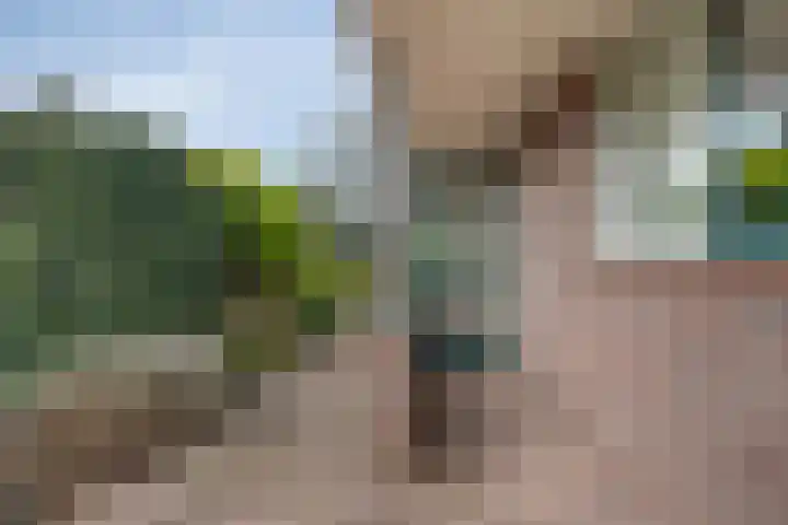 Moerasvaren 30 Purmerend thumbnail 38