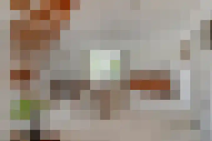 Moerasvaren 30 Purmerend thumbnail 4