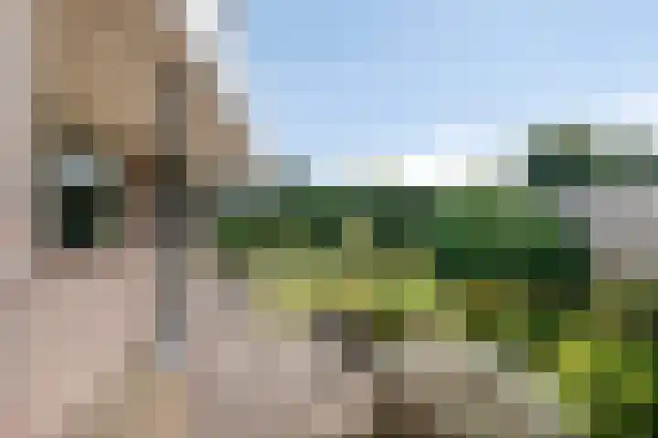 Moerasvaren 30 Purmerend thumbnail 40