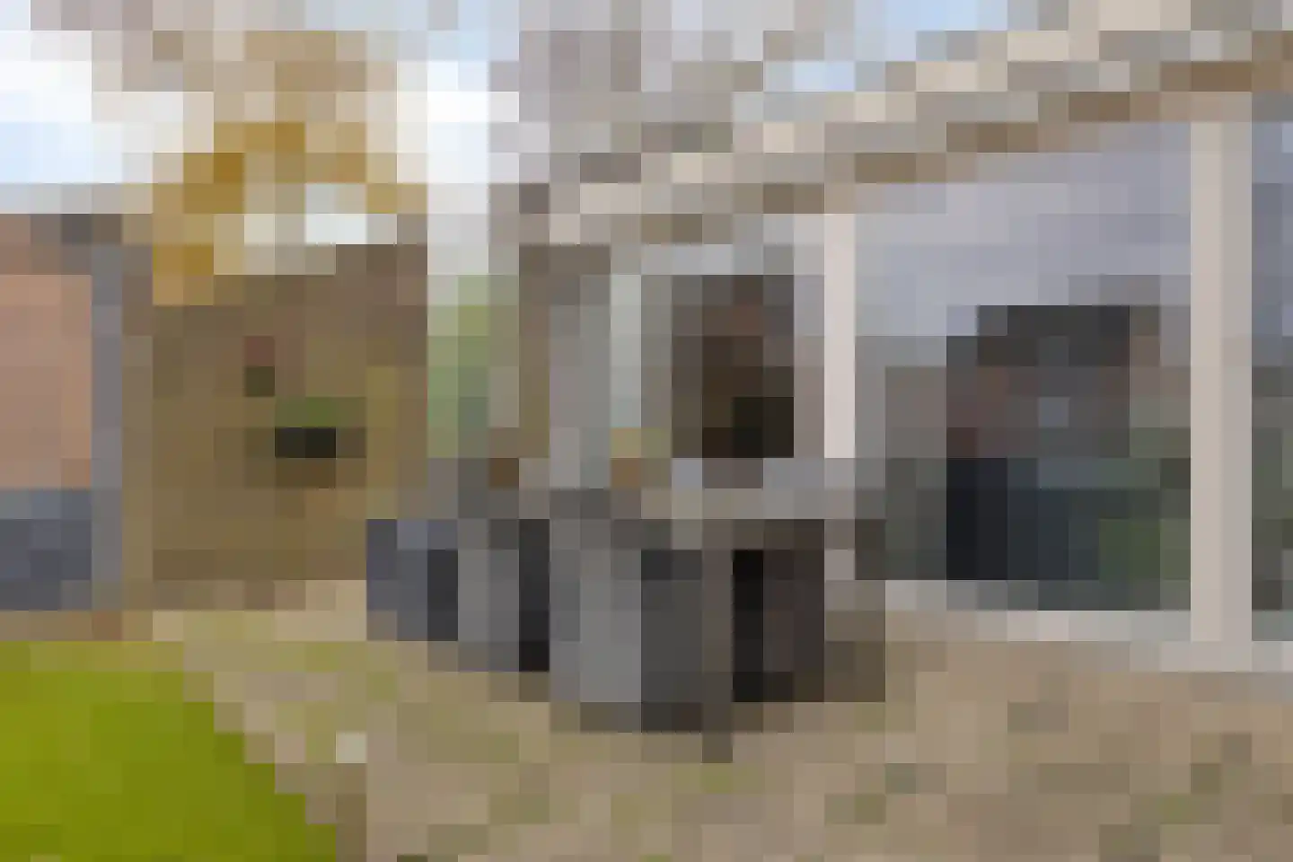 Moerasvaren 31 Purmerend thumbnail 38