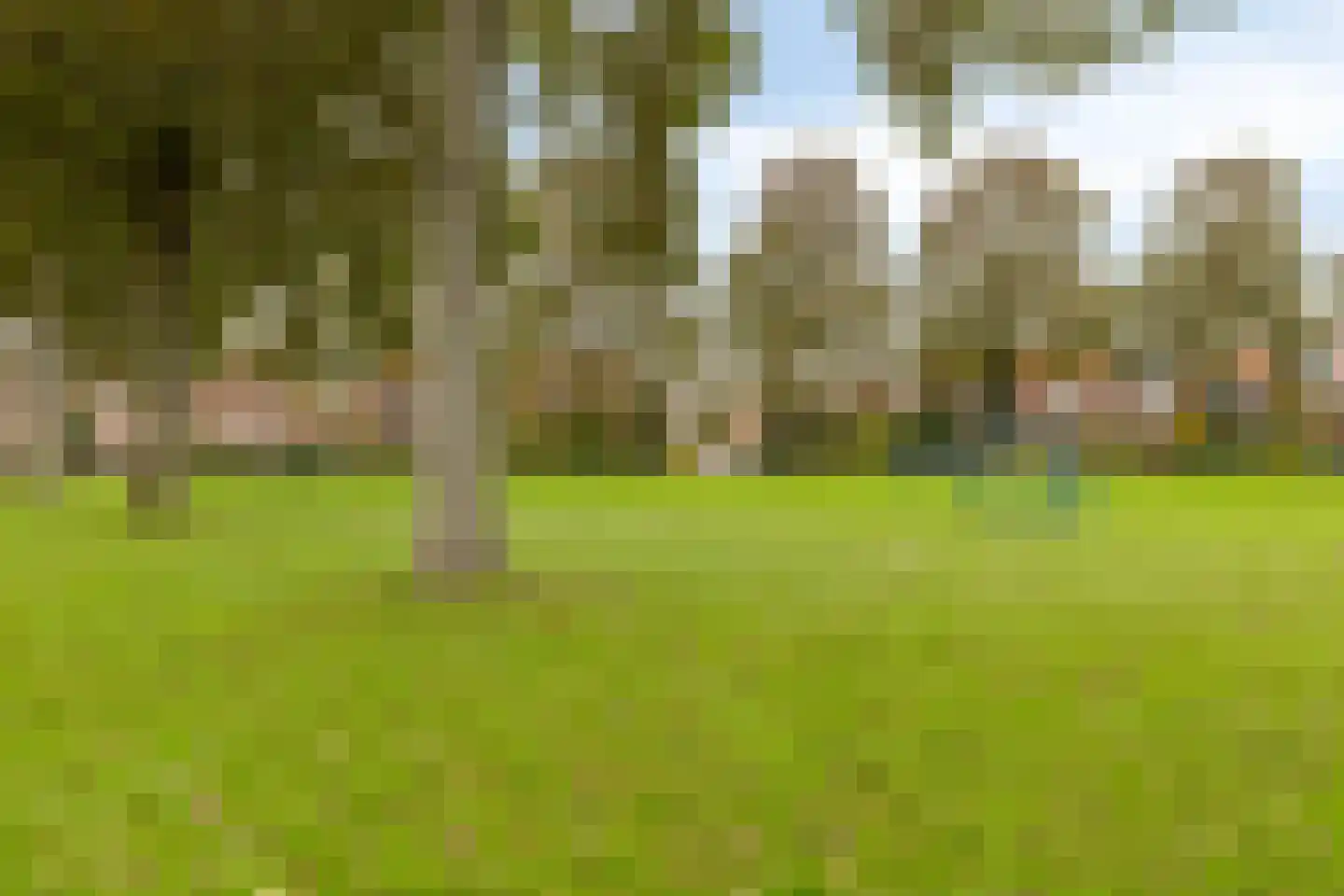 Moerasvaren 31 Purmerend thumbnail 47
