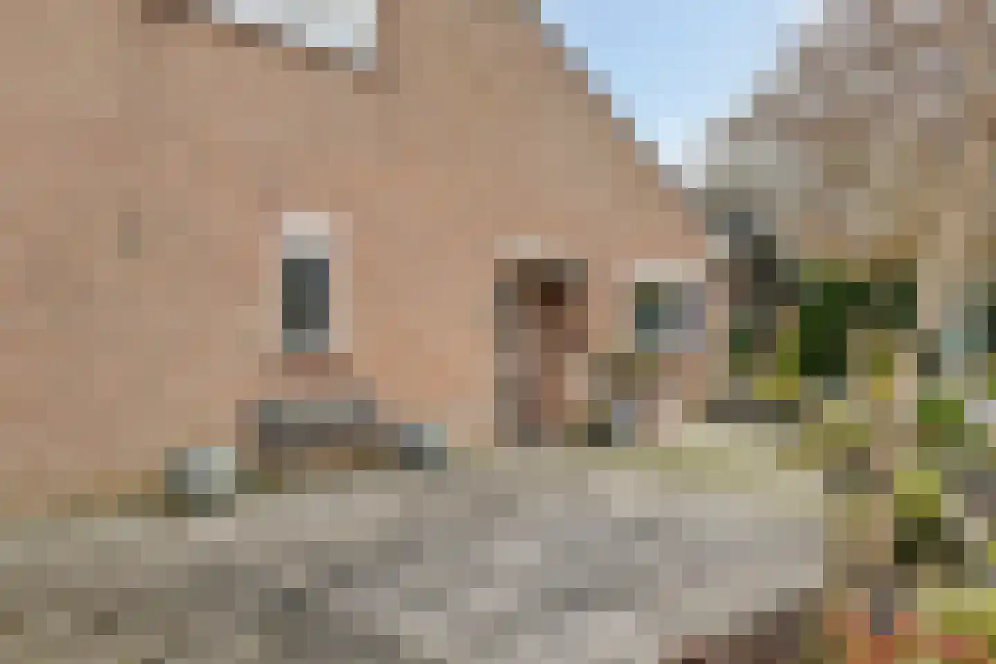 Moerasvaren 31 Purmerend thumbnail 7