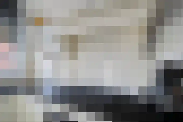 Moerasvaren 42 Hendrik-Ido-Ambacht thumbnail 10