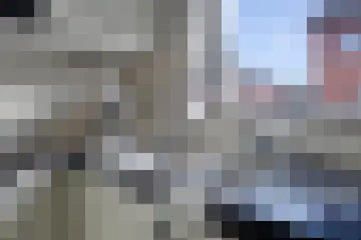 Moerasvaren 42 Hendrik-Ido-Ambacht thumbnail 11