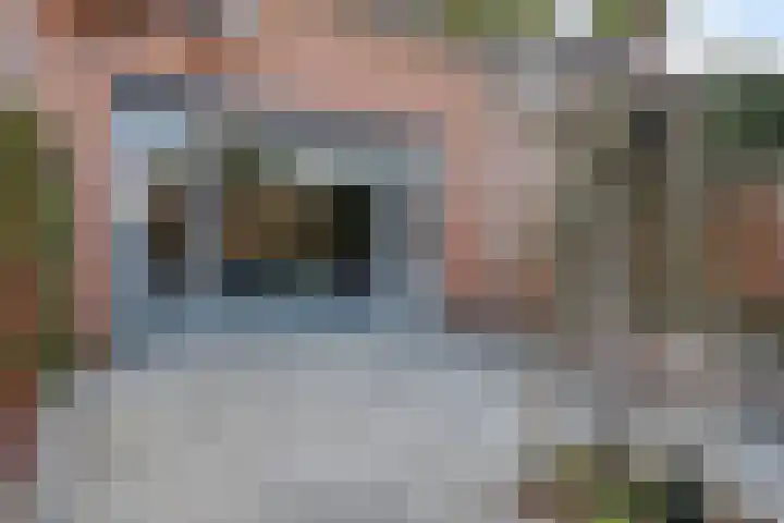 Moerasvaren 42 Hendrik-Ido-Ambacht thumbnail 24