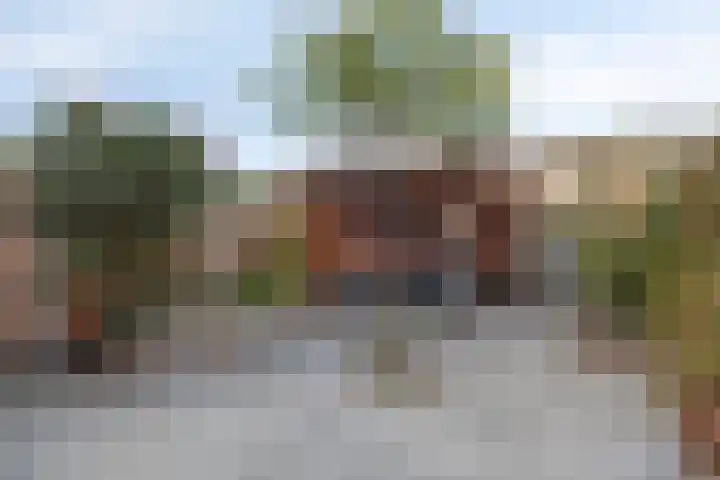 Moerasvaren 42 Hendrik-Ido-Ambacht thumbnail 25