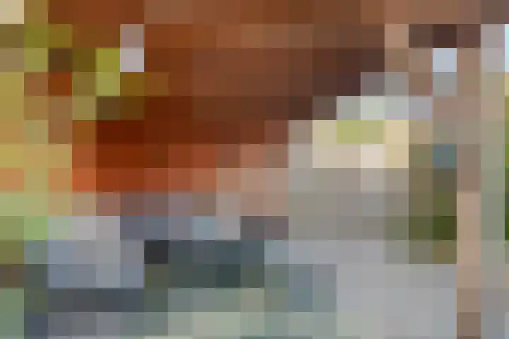 Moerasvaren 42 Hendrik-Ido-Ambacht thumbnail 26
