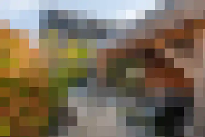 Moerasvaren 42 Hendrik-Ido-Ambacht thumbnail 27