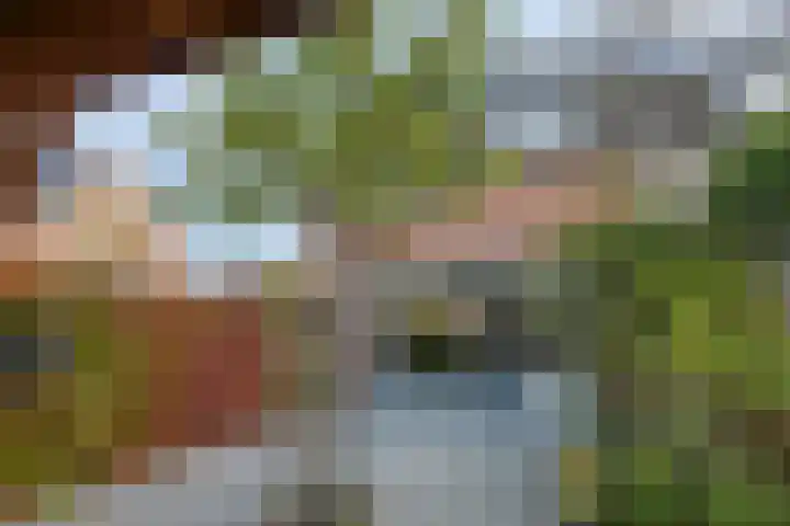 Moerasvaren 42 Hendrik-Ido-Ambacht thumbnail 28