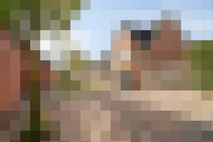 Moerasvaren 42 Hendrik-Ido-Ambacht thumbnail 31