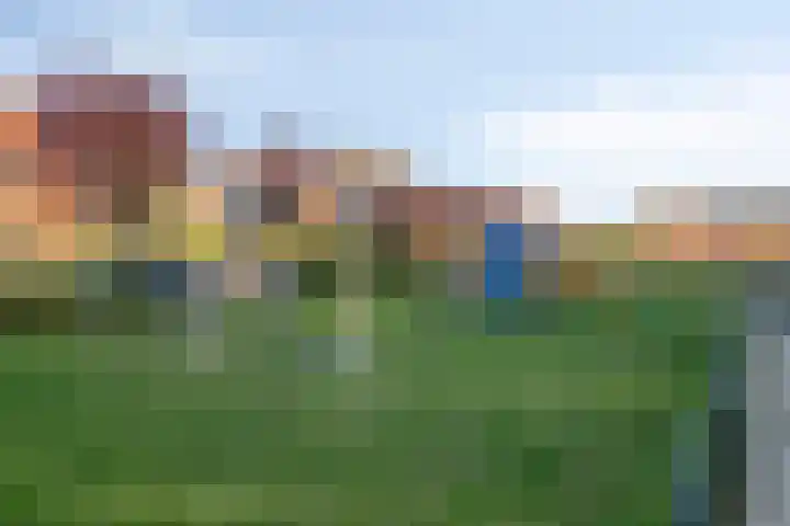 Moerasvaren 42 Hendrik-Ido-Ambacht thumbnail 32