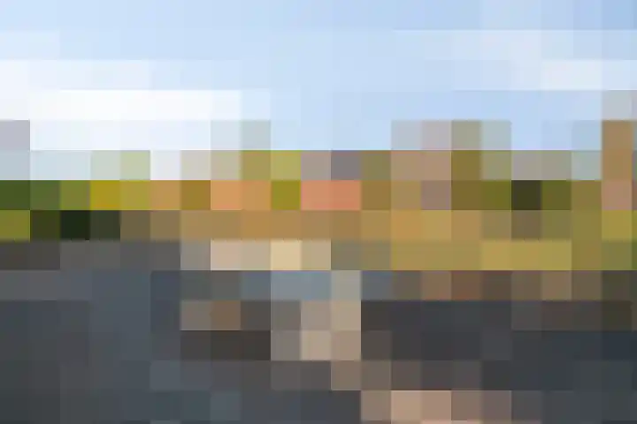 Moerasvaren 42 Hendrik-Ido-Ambacht thumbnail 33