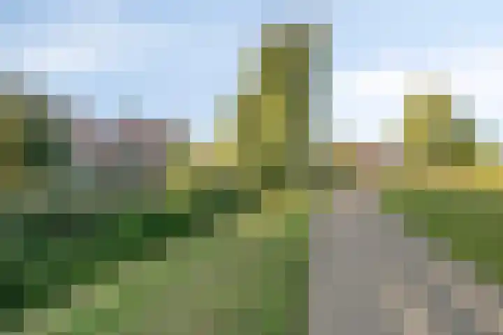 Moerasvaren 42 Hendrik-Ido-Ambacht thumbnail 34