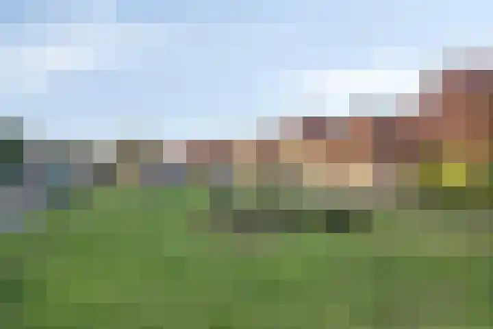 Moerasvaren 42 Hendrik-Ido-Ambacht thumbnail 35